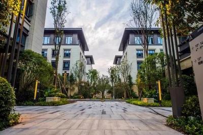 渝中區(qū)瞄準(zhǔn)“互聯(lián)網(wǎng)數(shù)據(jù)服務(wù)”新藍(lán)海，擘畫四年400億大數(shù)據(jù)智能化產(chǎn)業(yè)藍(lán)圖